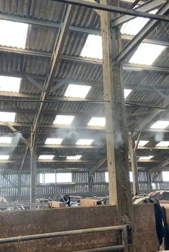 Brumisation CTH en élevage Brumisation CTH en élevage