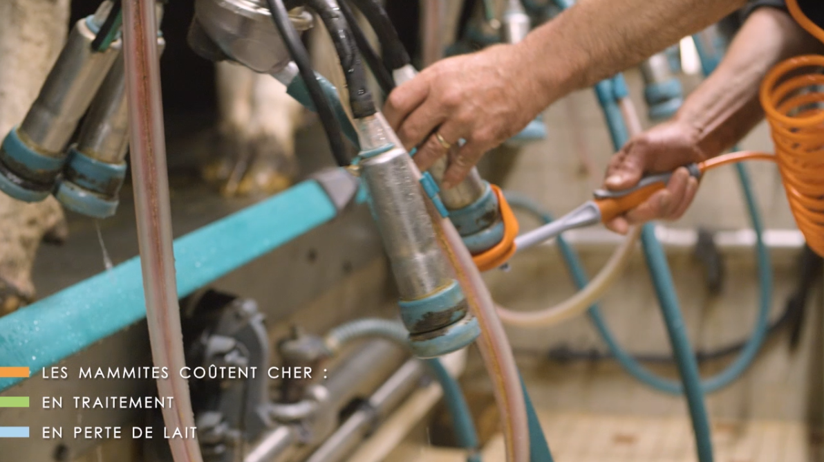 Désinfection des griffes mammites CTH AGRI