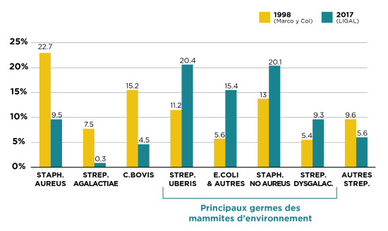 Germes responsables des mammites CTH AGRI